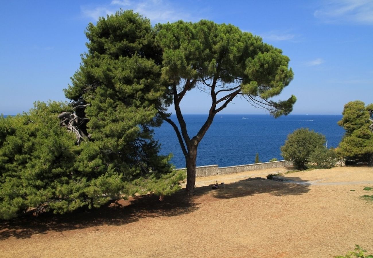 Chambres d'hôtes à Rovinj - Chambre dans Rovinj avec vue mer, Balcon, Climatisation, WIFI (3631-4)