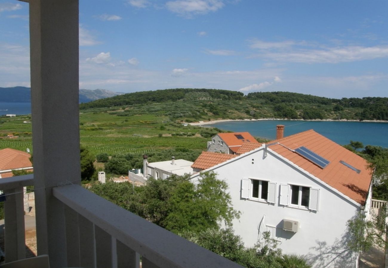 Appartement à Lumbarda - Appartement dans Lumbarda avec vue mer, terrasse, Climatisation, WIFI (3632-1)