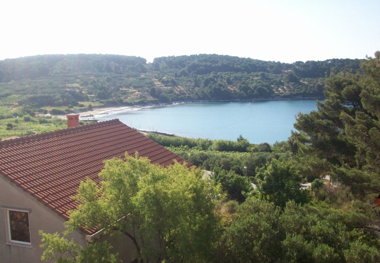 Appartement à Lumbarda - Appartement dans Lumbarda avec vue mer, terrasse, Climatisation, WIFI (3632-4)