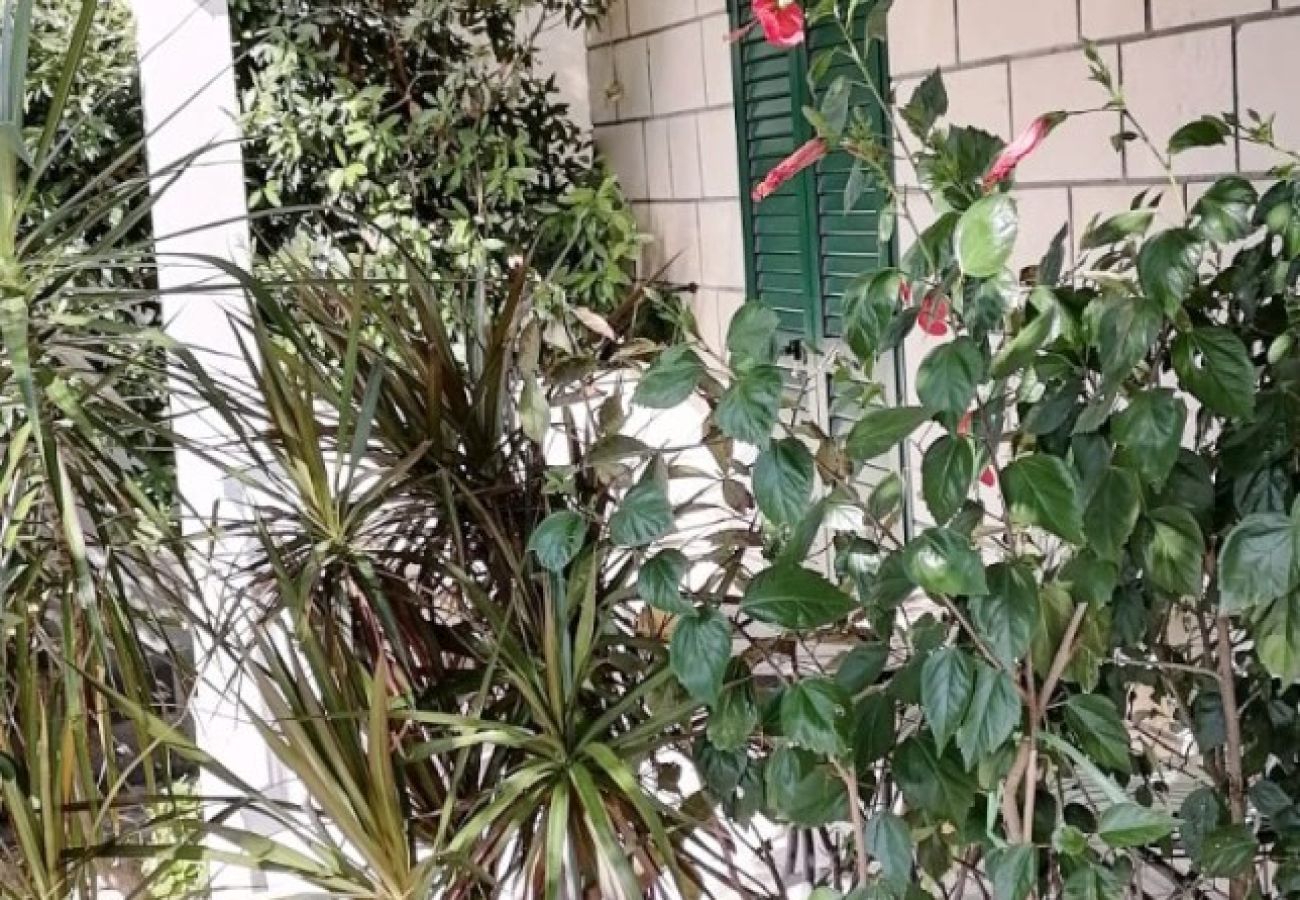Appartement à Bol - Appartement dans Bol avec vue mer, terrasse, Climatisation, WIFI (3634-2)