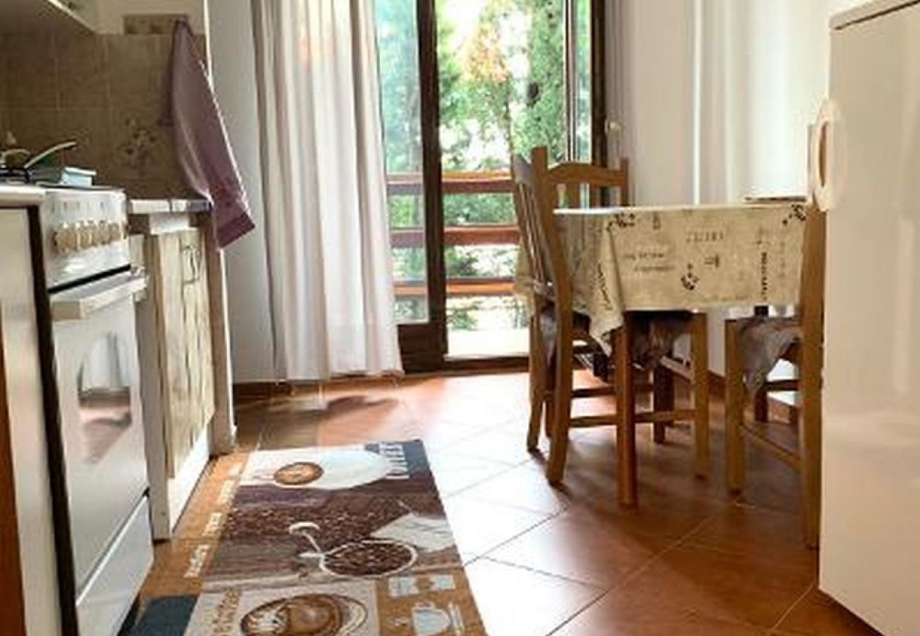 Appartement à Starigrad - Appartement dans Starigrad-Paklenica avec vue mer, terrasse, Climatisation, WIFI (627-2)