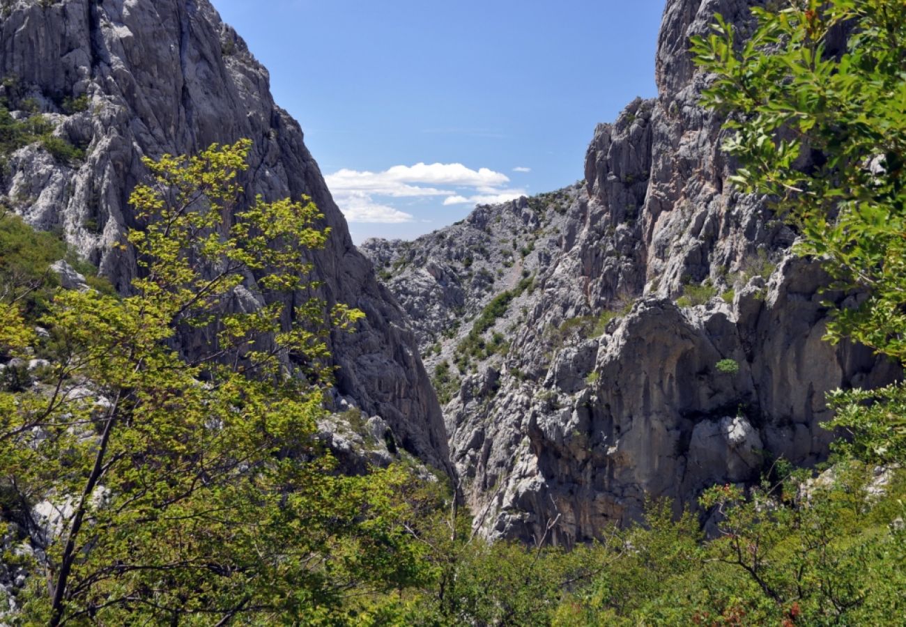 Chambres d'hôtes à Starigrad - Chambre dans Starigrad-Paklenica avec terrasse, Climatisation, WIFI (627-6)