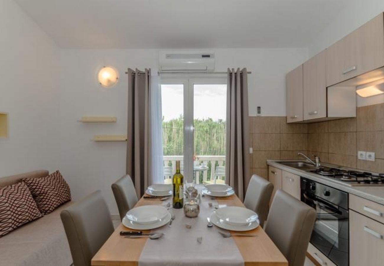 Appartement à Privlaka - Appartement dans Privlaka avec vue mer, Balcon, Climatisation, WIFI (667-2)