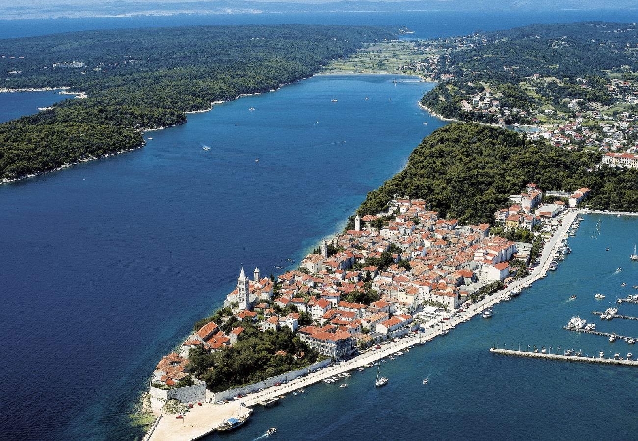 Appartement à Rab - Appartement dans Barbat avec vue mer, Balcon, Climatisation, WIFI (3664-2)