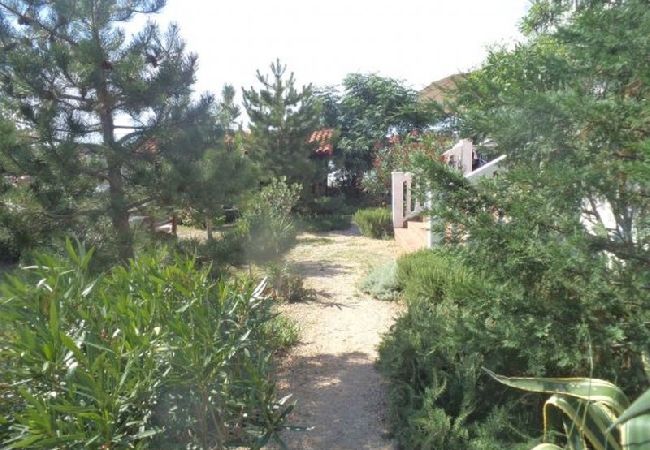 Appartement à Rab - Appartement dans Barbat avec vue mer, Balcon, Climatisation, WIFI (3664-4) Appartement à Rab - Appartement dans Barbat avec vue mer, Balcon, Climatisation, WIFI (3664-4)