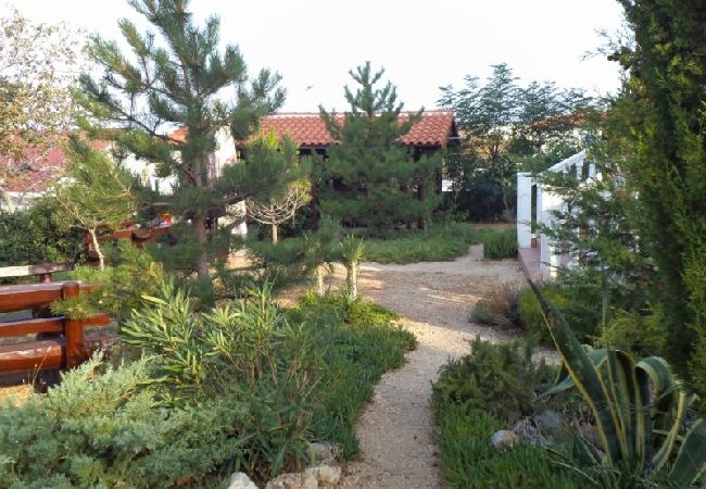 Appartement à Rab - Appartement dans Barbat avec vue mer, Balcon, Climatisation, WIFI (3664-5) Appartement à Rab - Appartement dans Barbat avec vue mer, Balcon, Climatisation, WIFI (3664-5)