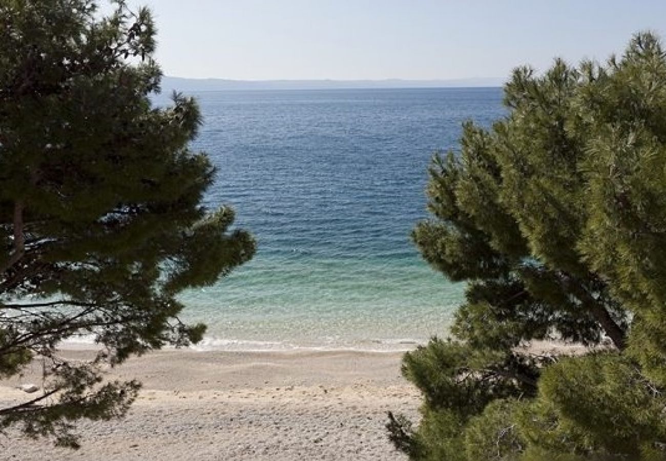 Studio à Tucepi - Appartement Studio dans Tučepi avec vue mer, Balcon, Climatisation, WIFI (3674-4)