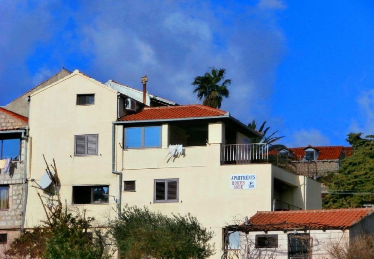 Chambres d'hôtes à Cavtat - Chambre dans Cavtat avec vue mer, Balcon, Climatisation, WIFI (3686-1)