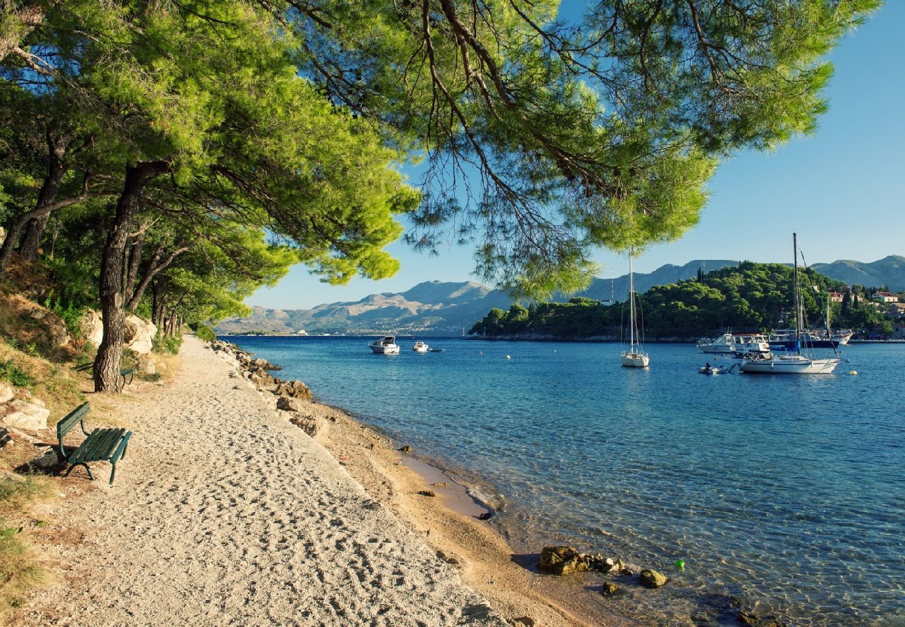 Chambres d'hôtes à Cavtat - Chambre dans Cavtat avec vue mer, Balcon, Climatisation, WIFI (3686-1)