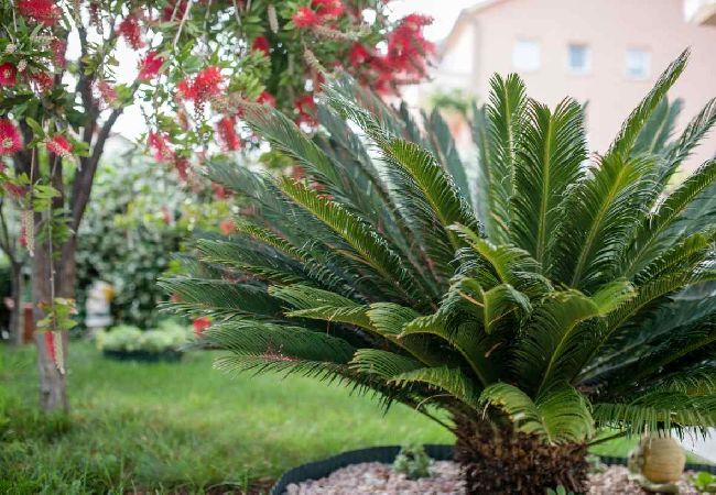 Appartement à Palit - Appartement dans Palit avec vue mer, terrasse, Climatisation, WIFI (820-4) Appartement à Palit - Appartement dans Palit avec vue mer, terrasse, Climatisation, WIFI (820-4)