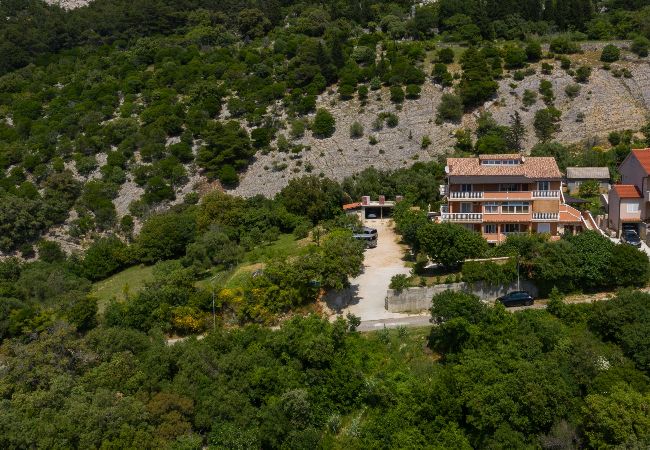 Appartement à Mundanije - Appartement dans Mundanije avec vue mer, terrasse, Climatisation, WIFI (3748-1) Appartement à Mundanije - Appartement dans Mundanije avec vue mer, terrasse, Climatisation, WIFI (3748-1)