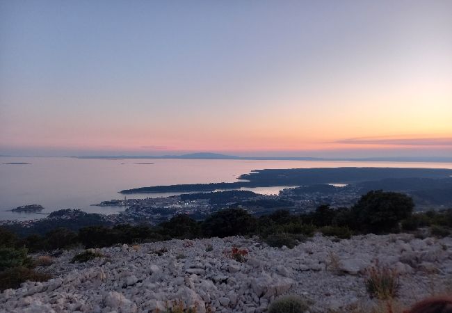 Appartement à Supetarska Draga - Appartement dans Supetarska Draga avec vue mer, terrasse, Climatisation, WIFI (3750-1) Appartement à Supetarska Draga - Appartement dans Supetarska Draga avec vue mer, terrasse, Climatisation, WIFI (3750-1)