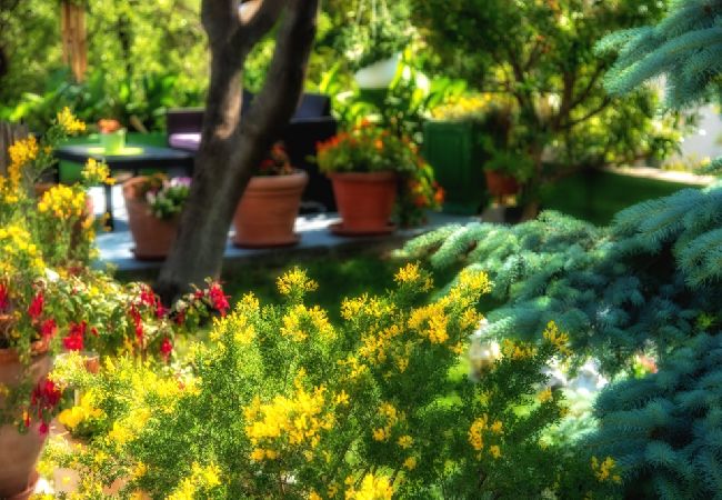 Chambres d'hôtes à Bol - Chambre dans Bol avec terrasse, Climatisation, WIFI (3758-4) Chambres d'hôtes à Bol - Chambre dans Bol avec terrasse, Climatisation, WIFI (3758-4)