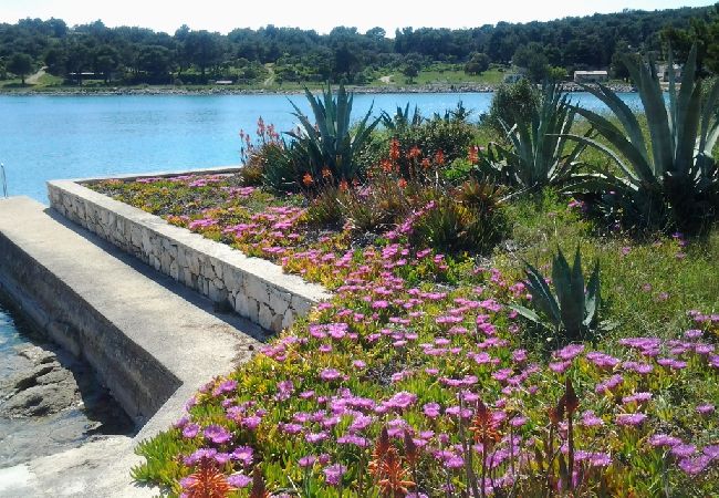 Appartement à Mali Lošinj - Appartement dans Mali Lošinj avec vue mer, terrasse, Climatisation, WIFI (3780-2) Appartement à Mali Lošinj - Appartement dans Mali Lošinj avec vue mer, terrasse, Climatisation, WIFI (3780-2)