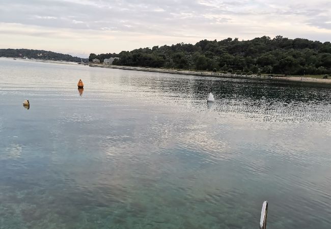 Appartement à Mali Lošinj - Appartement dans Mali Lošinj avec vue mer, terrasse, Climatisation, WIFI (3780-2) Appartement à Mali Lošinj - Appartement dans Mali Lošinj avec vue mer, terrasse, Climatisation, WIFI (3780-2)