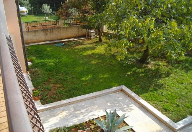 Studio à Porec - Appartement Studio dans Poreč avec terrasse, WIFI (3794-1) Studio à Porec - Appartement Studio dans Poreč avec terrasse, WIFI (3794-1)