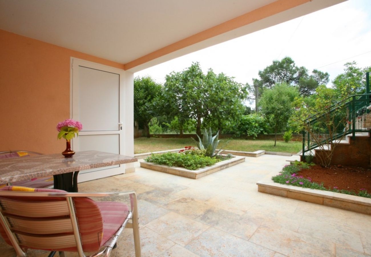 Studio à Porec - Appartement Studio dans Poreč avec terrasse, WIFI (3794-1)