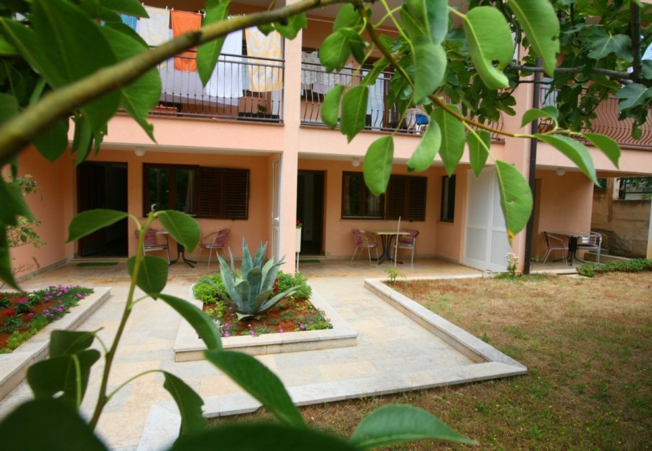 Studio à Porec - Appartement Studio dans Poreč avec terrasse, WIFI (3794-1)