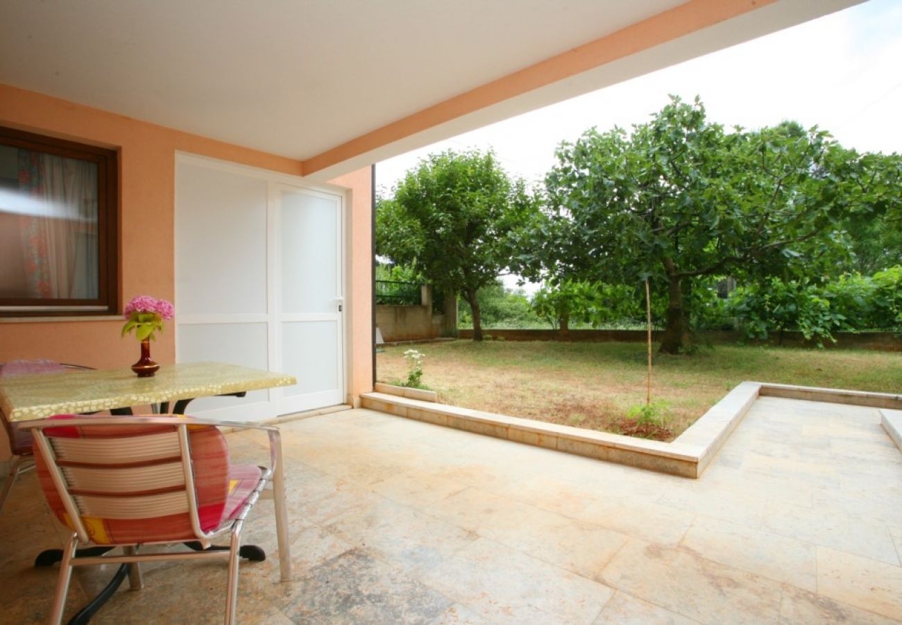 Studio à Porec - Appartement Studio dans Poreč avec terrasse, WIFI (3794-2)