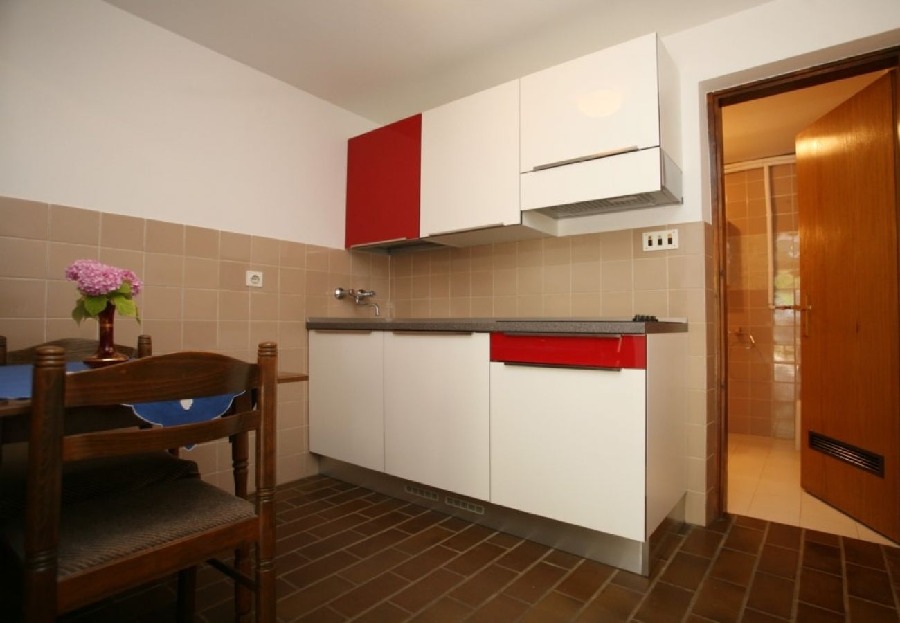 Studio à Porec - Appartement Studio dans Poreč avec terrasse, WIFI (3794-2)