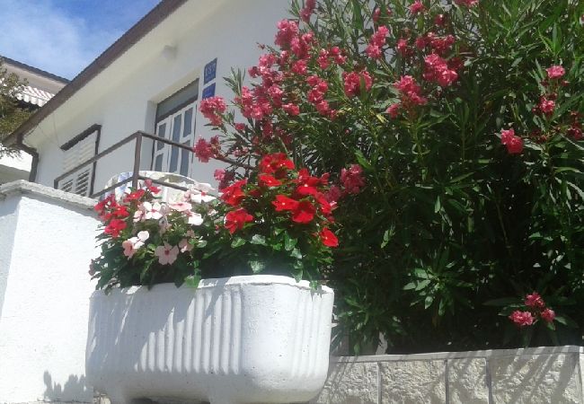 Appartement à Banjol - Appartement dans Banjol avec vue mer, terrasse, Climatisation, WIFI (3803-1) Appartement à Banjol - Appartement dans Banjol avec vue mer, terrasse, Climatisation, WIFI (3803-1)