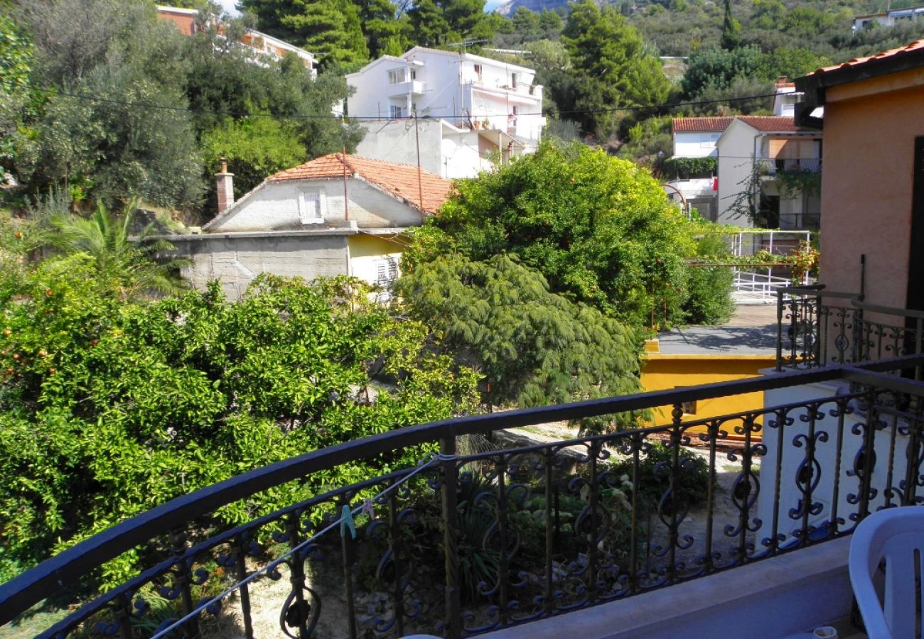 Appartement à Podgora - Appartement dans Podgora avec vue mer, terrasse, Climatisation, WIFI (3812-3)