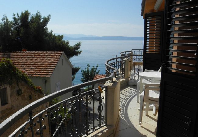 Podgora - Appartement