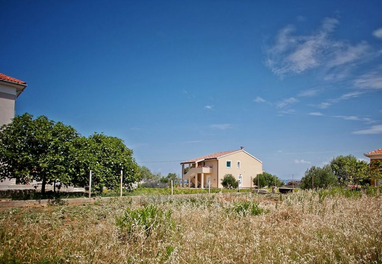 Appartement à Poljana - Appartement dans Poljana avec vue mer, terrasse, Climatisation, WIFI (3617-5)