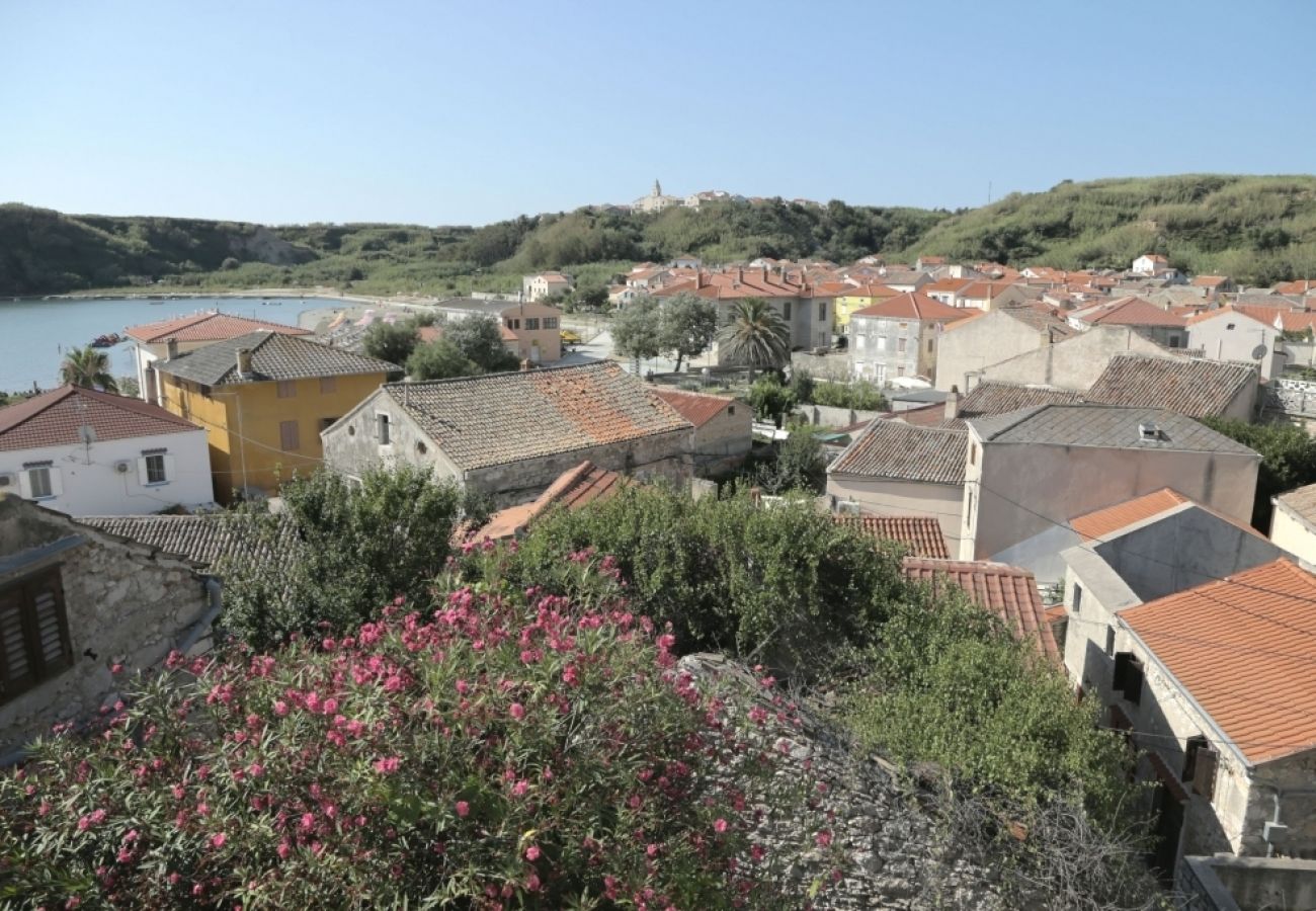 Chambres d'hôtes à Susak - Chambre dans Susak avec Climatisation, WIFI (3865-3)