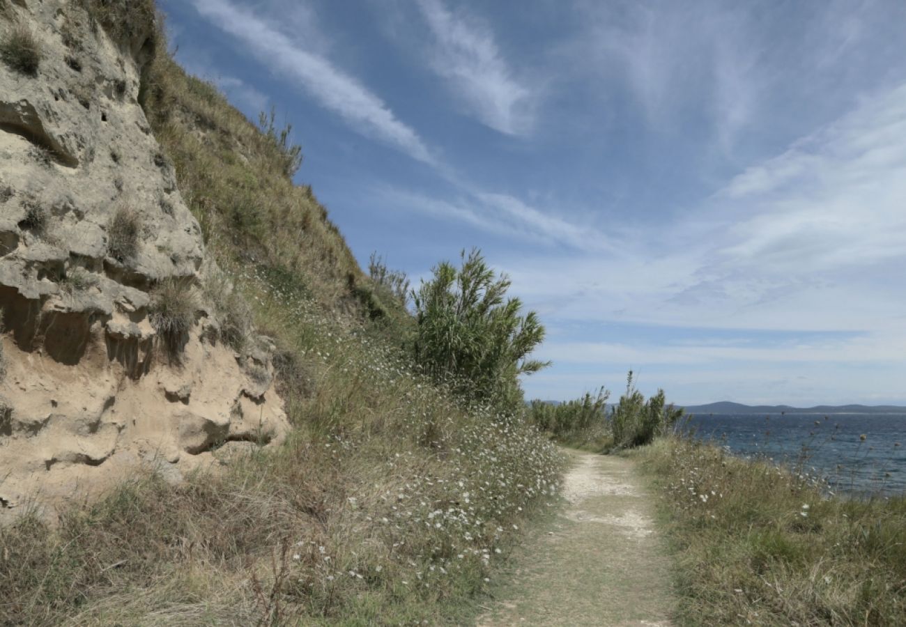 Chambres d'hôtes à Susak - Chambre dans Susak avec Climatisation, WIFI (3865-3)