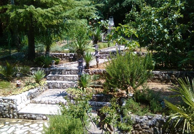 Studio à Jadranovo - Appartement Studio dans Jadranovo avec Balcon, Climatisation, WIFI (3856-3) Studio à Jadranovo - Appartement Studio dans Jadranovo avec Balcon, Climatisation, WIFI (3856-3)