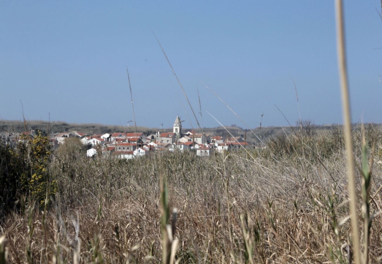 Chambres d'hôtes à Susak - Chambre dans Susak avec Climatisation, WIFI (3865-4)