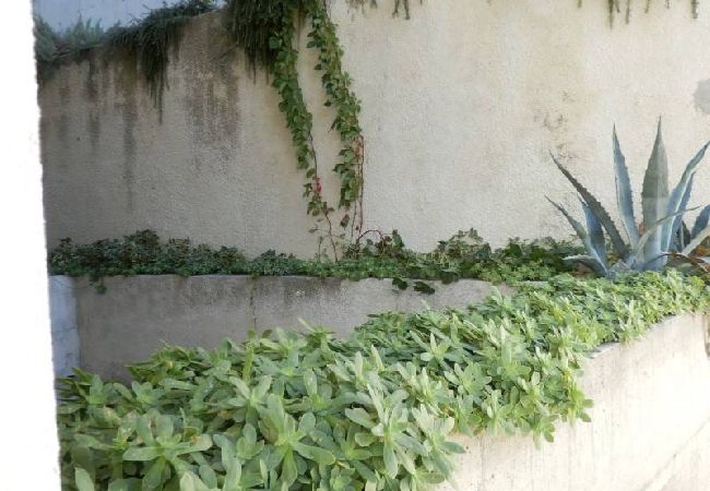 Appartement à Duce - Appartement dans Duće avec terrasse, Climatisation, WIFI, Machine à laver (4173-5) Appartement à Duce - Appartement dans Duće avec terrasse, Climatisation, WIFI, Machine à laver (4173-5)