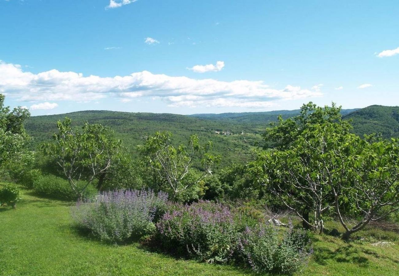 Appartement à Roc - Appartement dans Roč avec terrasse, Climatisation, WIFI, Machine à laver (4194-2)