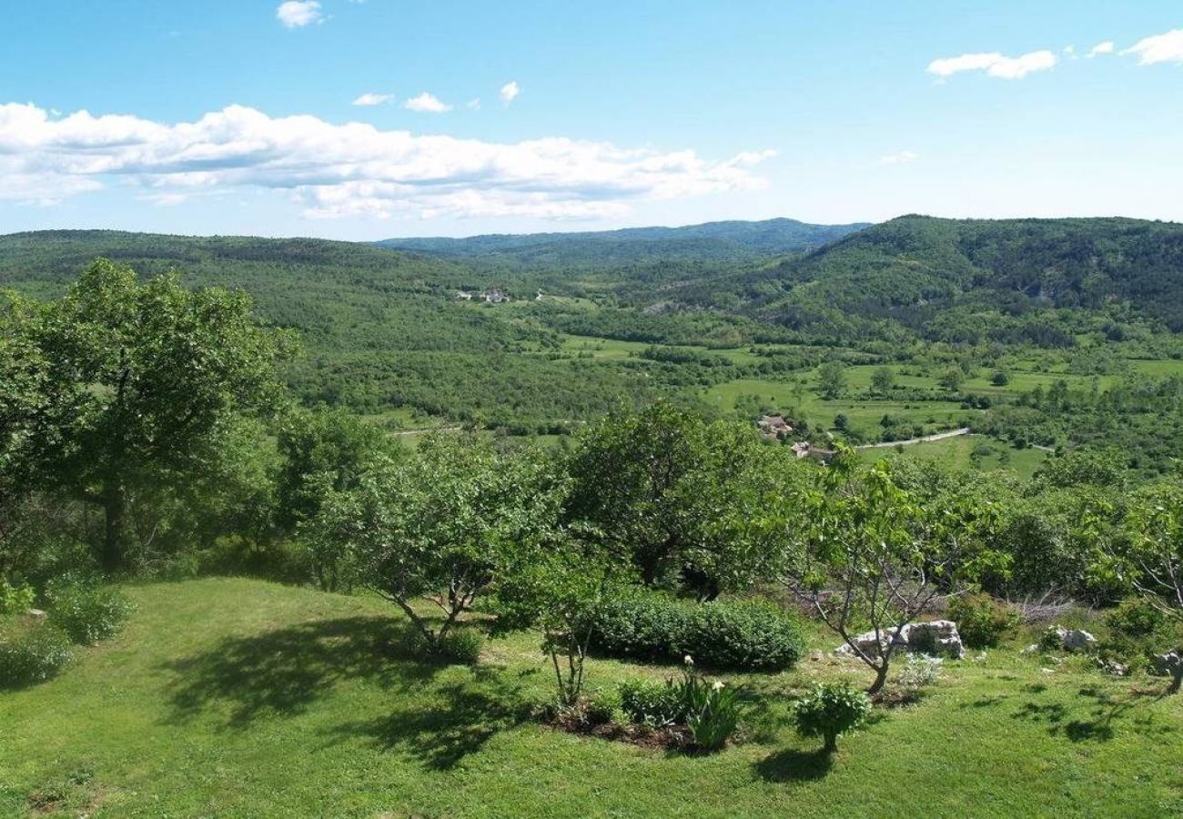 Appartement à Roc - Appartement dans Roč avec terrasse, Climatisation, WIFI, Machine à laver (4194-2)