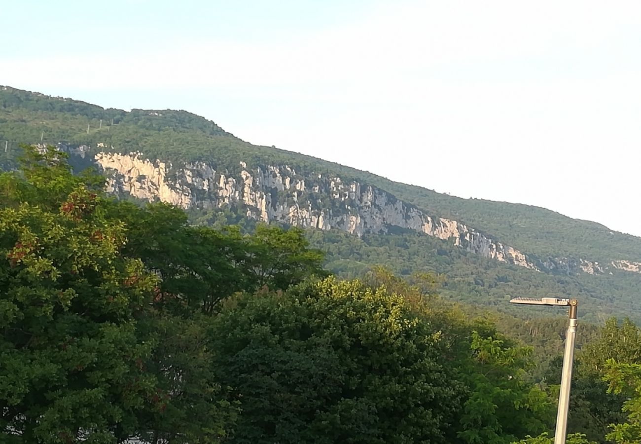 Appartement à Roc - Appartement dans Roč avec terrasse, Climatisation, WIFI, Machine à laver (4194-2)