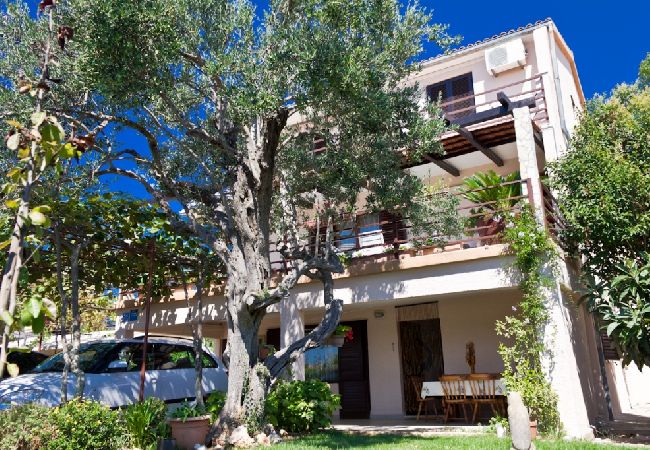Appartement à Rogoznica - Appartement dans Rogoznica avec terrasse, Climatisation, WIFI, Lave-vaisselle (3338-1) Appartement à Rogoznica - Appartement dans Rogoznica avec terrasse, Climatisation, WIFI, Lave-vaisselle (3338-1)