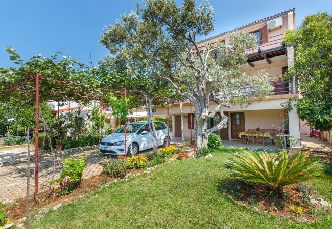 Appartement à Rogoznica - Appartement dans Rogoznica avec terrasse, Climatisation, WIFI, Lave-vaisselle (3338-1) Appartement à Rogoznica - Appartement dans Rogoznica avec terrasse, Climatisation, WIFI, Lave-vaisselle (3338-1)