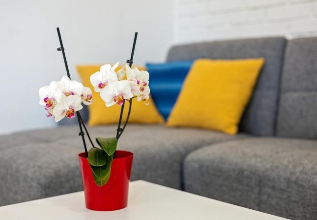 Appartement à Rogoznica - Appartement dans Rogoznica avec terrasse, Climatisation, WIFI, Lave-vaisselle (3338-1) Appartement à Rogoznica - Appartement dans Rogoznica avec terrasse, Climatisation, WIFI, Lave-vaisselle (3338-1)