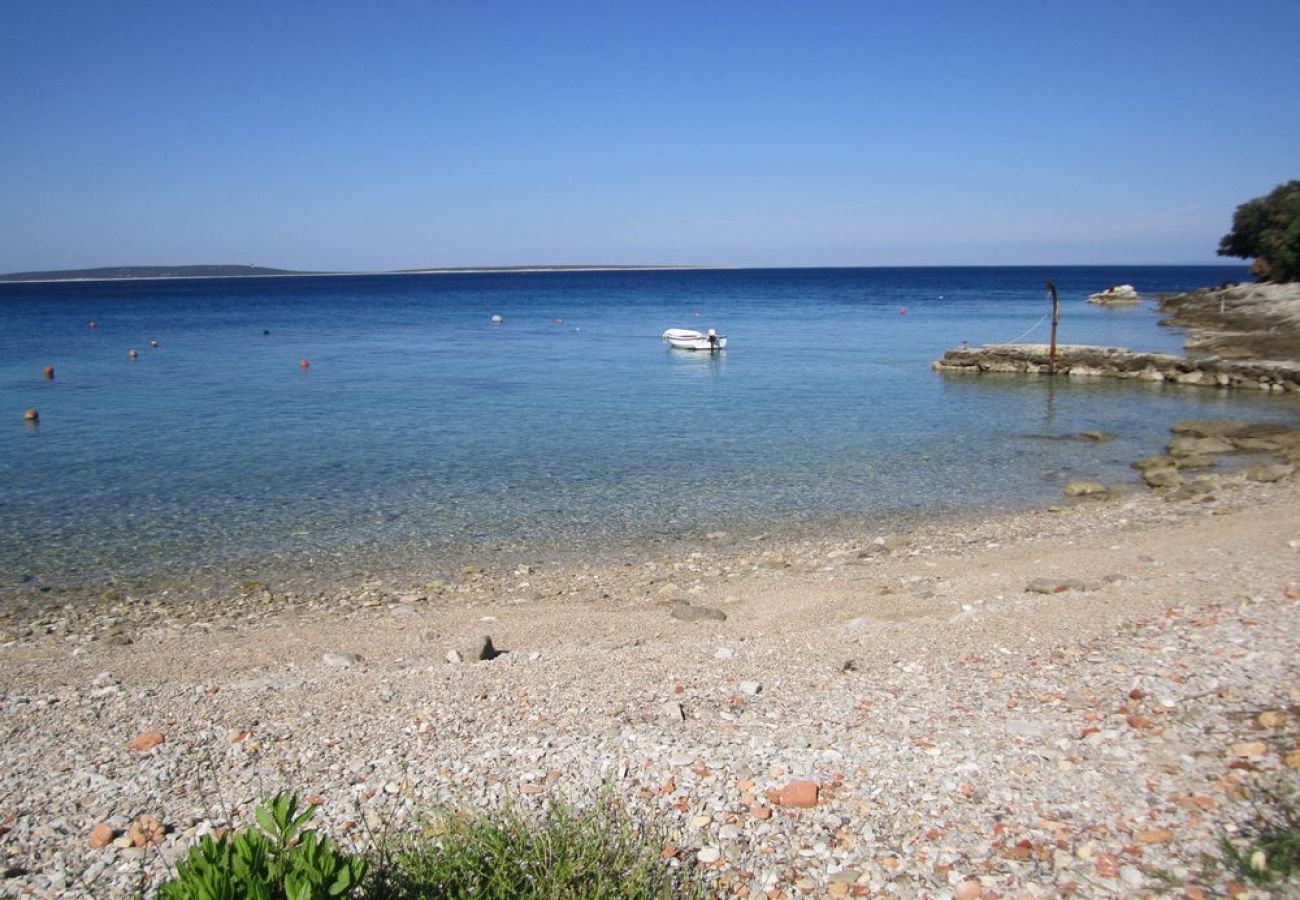 Maison à Stivan - Maison de vacances dans Stivan avec vue mer, terrasse, Climatisation, WIFI (4239-1)