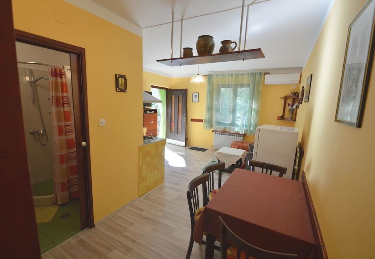 Appartement à Mali Lošinj - Appartement dans Mali Lošinj avec terrasse, Climatisation, WIFI, Machine à laver (4241-1)