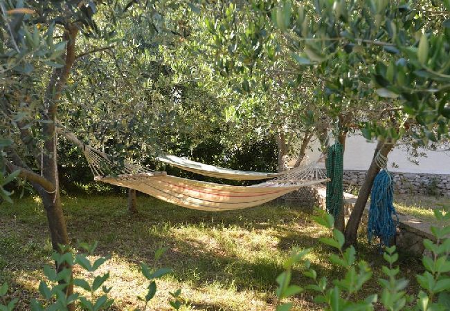 Appartement à Mali Lošinj - Appartement dans Mali Lošinj avec terrasse, Climatisation, WIFI, Machine à laver (4241-2) Appartement à Mali Lošinj - Appartement dans Mali Lošinj avec terrasse, Climatisation, WIFI, Machine à laver (4241-2)