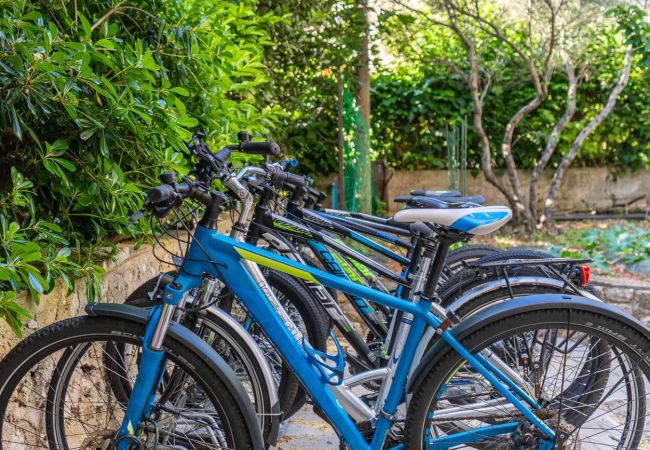 Appartement à Cres - Appartement dans Cres avec vue mer, Balcon, Climatisation, WIFI (4249-1) Appartement à Cres - Appartement dans Cres avec vue mer, Balcon, Climatisation, WIFI (4249-1)