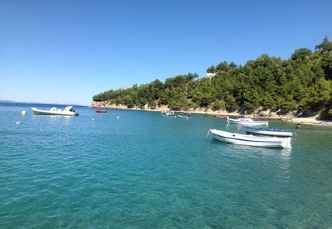 Appartement à Stanici - Appartement dans Stanići avec vue mer, Balcon, Climatisation, WIFI (3782-8) Appartement à Stanici - Appartement dans Stanići avec vue mer, Balcon, Climatisation, WIFI (3782-8)