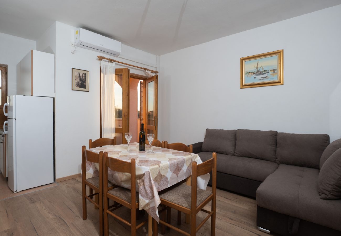 Appartement à Privlaka - Appartement in Privlaka avec vue mer, Balcon, Climatisation, WIFI (3598-2)