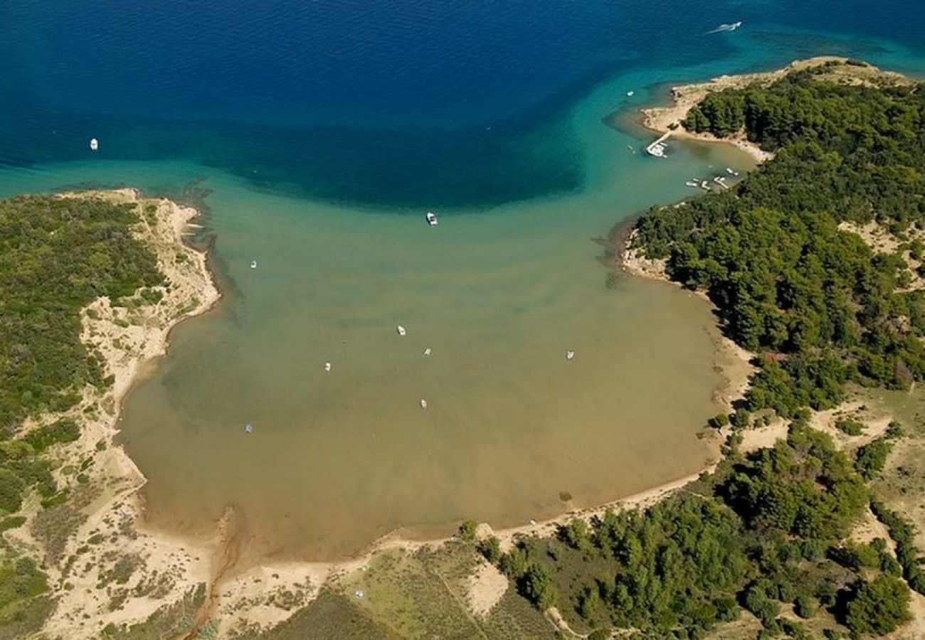 Appartement à Supetarska Draga - Appartement dans Supetarska Draga avec vue mer, Balcon, Climatisation, WIFI (4325-1)