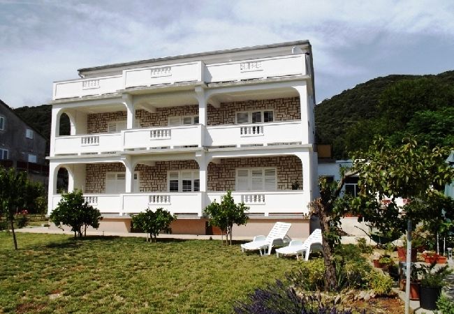 Appartement à Supetarska Draga - Appartement dans Supetarska Draga avec vue mer, Balcon, Climatisation, WIFI (4325-2) Appartement à Supetarska Draga - Appartement dans Supetarska Draga avec vue mer, Balcon, Climatisation, WIFI (4325-2)