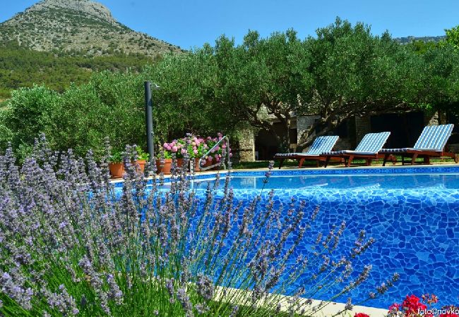 Maison à Bol - Maison de vacances in Bol avec vue mer, terrasse, Climatisation, WIFI (120-1) Maison à Bol - Maison de vacances in Bol avec vue mer, terrasse, Climatisation, WIFI (120-1)