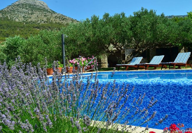 Maison à Bol - Maison de vacances in Bol avec vue mer, terrasse, Climatisation, WIFI (120-1) Maison à Bol - Maison de vacances in Bol avec vue mer, terrasse, Climatisation, WIFI (120-1)