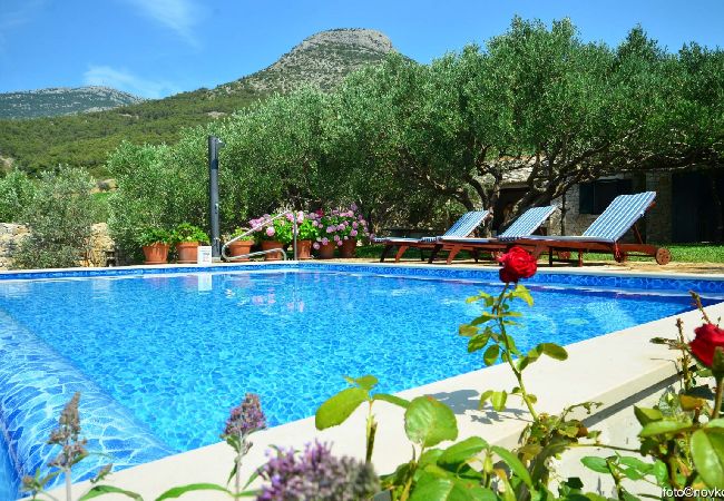 Maison à Bol - Maison de vacances in Bol avec vue mer, terrasse, Climatisation, WIFI (120-1) Maison à Bol - Maison de vacances in Bol avec vue mer, terrasse, Climatisation, WIFI (120-1)